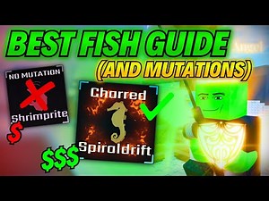 FULL GUIDE to Sol's RNG Fishing Update (Best Fish, All Mutation Multipliers, NEW RAREST AURA)