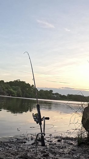 Choosing the Right Hooks for Successful Fishing