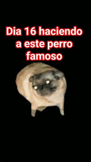 Día 16 haciendo a este perro famoso #memes #funny #yosoydelos7mil #emoji