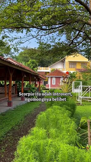 Sifat Zodiak Scorpio: Karakter dan Kelakuan Introvert