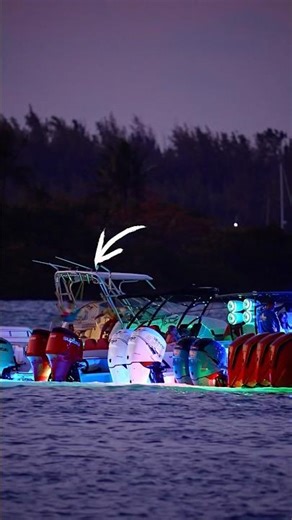 It actually our first time seeing this at the Haulover Inlet sandbar #swing