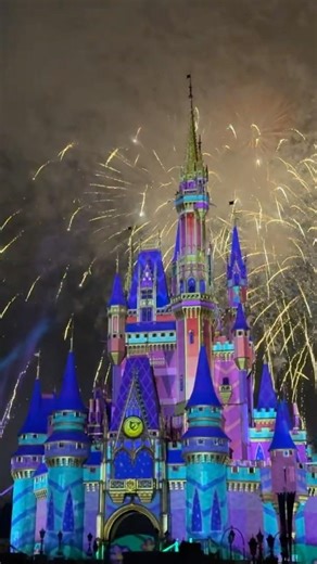 Disney Enchantment Fun #disney