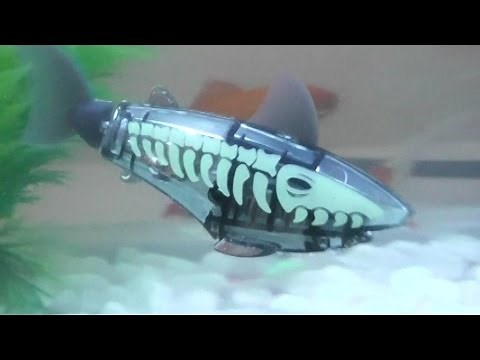Shark Toys Robotic Shark
