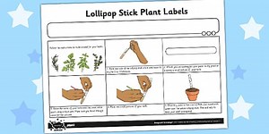 Lollipop Stick Plant Labels Worksheet