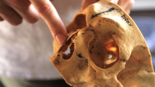 3.6-Million-Year-Old Human Ancestor "Little Foot" Unveiled to Public in South Africa