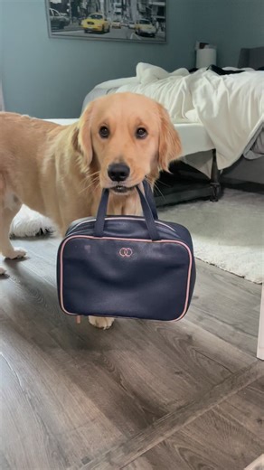 Time to pack up! | Comet Olsen