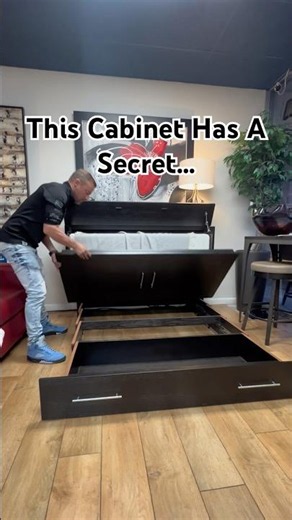 This Cabinet Has a Secret… Hidden Queen Murphy Bed with Storage