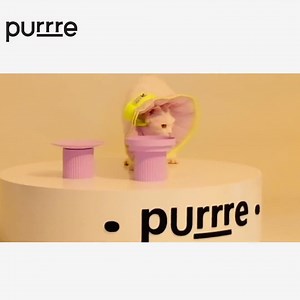 R3 Elizabethan Collar | Recovery Collar | Elizabethan Cone - Etsy