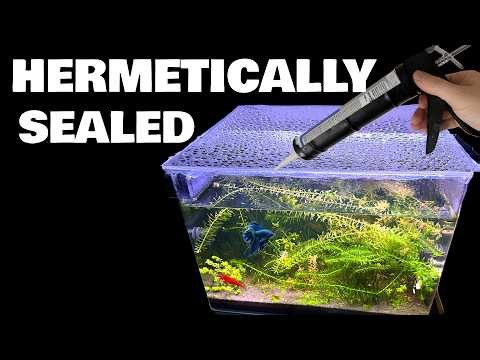 This Sealed Ecosystem Aquarium Still Has Life After Months