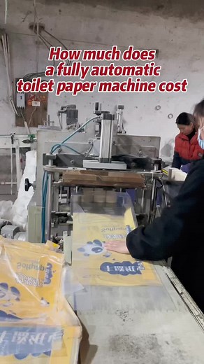 Understanding Toilet Paper Machine Costs
