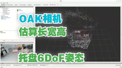 【应用分享】深度视觉+AI的实时3D托盘检测，推理全部在OAK相机上完成。
