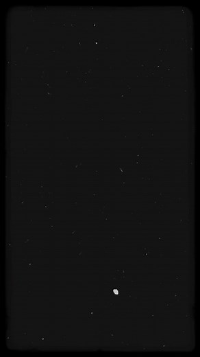 Draco Malfoy’s playlist (2020) #dracotok #tomtok #dracomalfoy #pureblood #slytherinprince #slytherin #draco #pottah #fyp #dracotiktok #fypシ