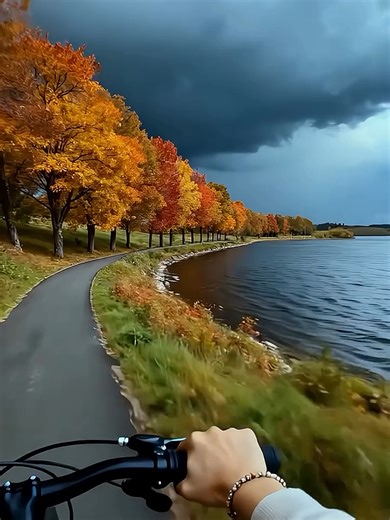 landscape (@landscapestv)’s videos with Einaudi: Experience - Ludovico Einaudi & Daniel Hope & I Virtuosi Italiani