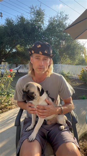 MANLY PUG MONDAY TRIFECTA! 🐶🐶🐶 3 fellas. One about to get adopted. One available for adoption. One still healing from a life of living in a livestock cage, a life of neglect and zero human interaction. Ragnar our beautiful Viking warrior pug, Pele the cute lanky teen, and Romeo the handsome fearful boy. Are all getting neutered tomorrow ✂️✂️✂️ An important step towards ADOPTION. Towards health and unwanted behaviors such as marking. These 3 special boys would sure appreciate your help as woul