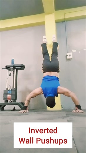 inverted shoulder push ups#shoulderworkout