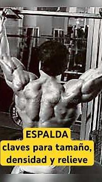 The 4 Key Exercises for a Complete Back | Frank Zane