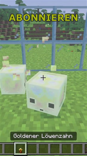 Cube Babies in the new update?!