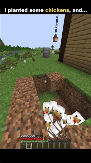 This Chicken Tree Shouldn’t Exist 😂 #minecraft #funny #gaming