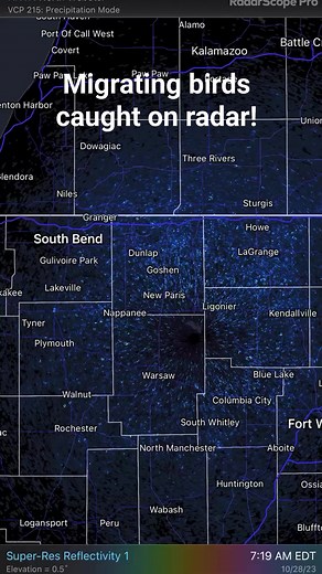 ISC's Parker Ellenburg noticed an incredible phenomena this AM while watching the radar. Migrating birds taking off and leaving the area en masse! It's beautiful to watch the patterns they make as the radar beams pick up their departure! The cold snap must have encouraged them to head on out in search of warmer winter grounds. #INwx #Weather #Radar #Indiana #birds #flying #migration | Indiana Storm Chasers
