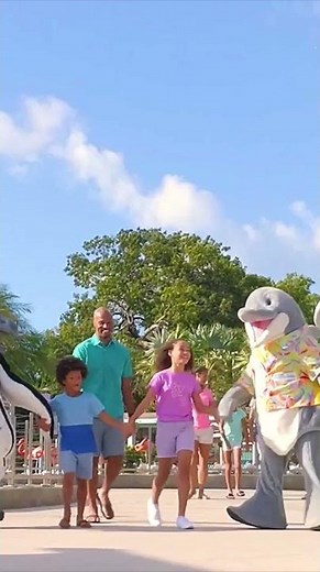 Discover Miami Seaquarium!