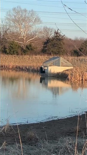 Little target practice (it was the gun. Totally) #gun #views #targetpractice