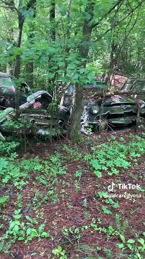 Exploring Cartersville Georgia: A Photographer's Paradise