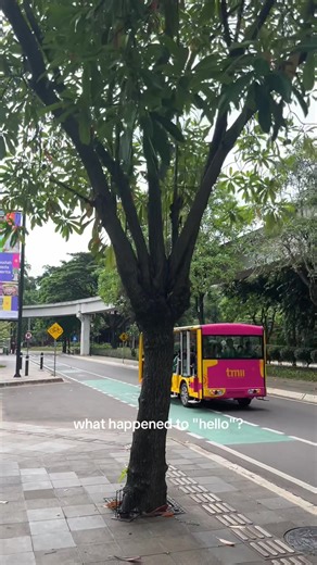 Understanding Gen Alpha: Trends and Meanings