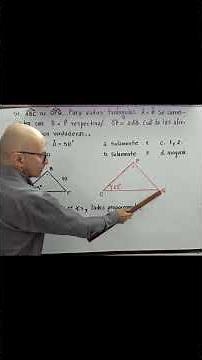 🔍💡Similar triangles! Step-by-step relationship between sides and angles