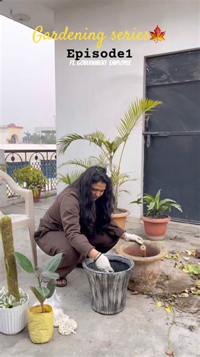 Gardening series🍁 | Episode 1🎥💌 #gardening #repottingplants #minivlog #garderningtips