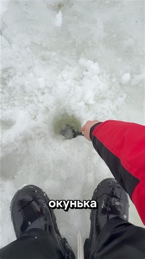 When a friend gets bored while fishing #fishing