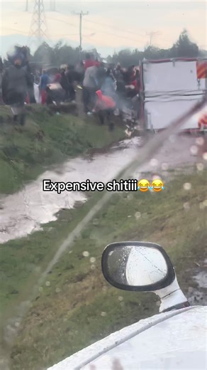 Custom Christmas Lights for a Luxurious Holiday