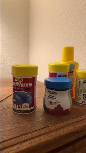 A longer video about how I’m taking care of the triops #triops