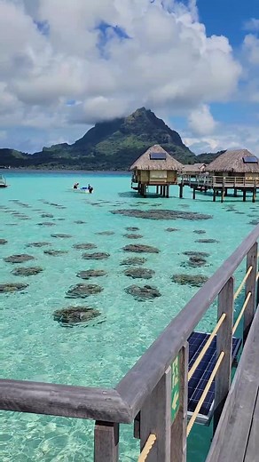 Morning Stroll to Breakfast. But this View? Amazing😍 📍- Bora Bora #vacation #bungalow #villa #blue #fyp #fyp #travel #luxury #tahiti #ocean #lifestyle #borabora #views #island #blackgirltiktok #paradise #aqua #aquamarine #overthewaterbungalow #clearwater #clearbluewater