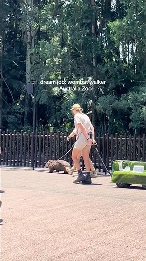 Can someone get the number for this wombat and ask if he wants to come on tour?