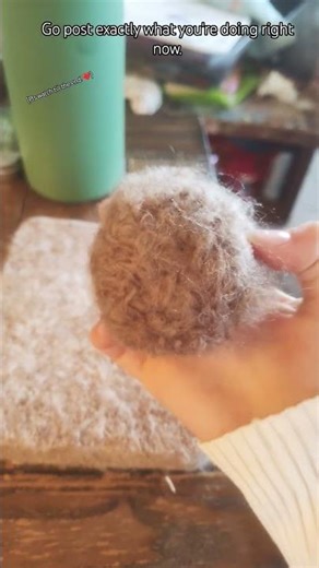 the challenge... #art #needlefelting #hedgehog #artist #cat #cute #unfinished