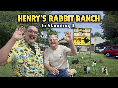 Henry’s Rabbit Ranch on Route 66 | The Heart & Soul of Staunton, Illinois