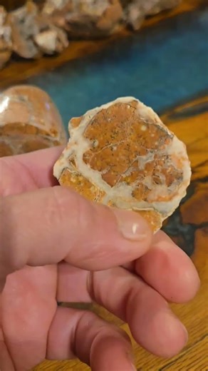 Unbreakable" Hackberry Flats Stone! 💎🔨 #polish ##lapidary #shorts #viral