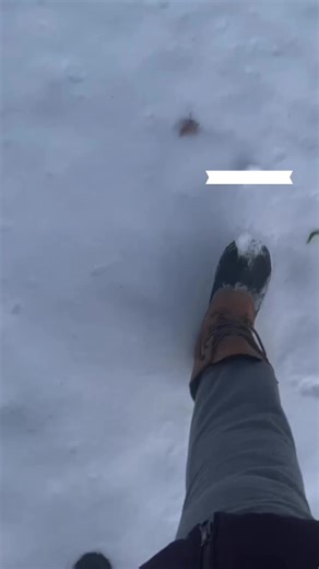 The Rusty Rake Homestead (@therustyrakehomestead)’s videos with original sound - The Rusty Rake Homestead