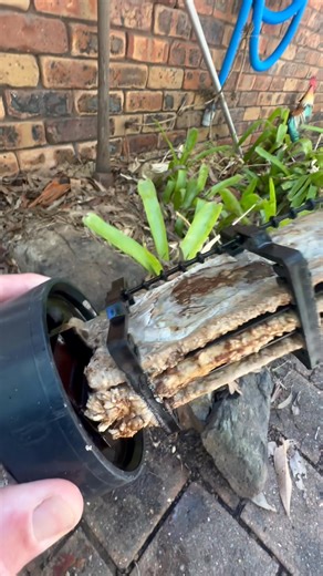 Ever Clear Pool Care on Reels