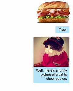 233K views | New Firehouse Subs small subs. Starting at $3.99. Even a small sub can help save lives. | Firehouse Subs | Facebook