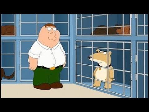 Family Guy - The Griffins meet Vinny - - Best Compilation