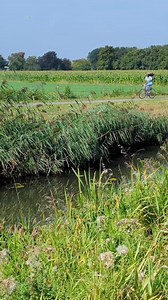 41K views · 1K reactions | Enjoying my new city ‍♀️朗朗朗 it's such a good way to take care of your body and mind 珞珞 | Eliza Sala | Facebook