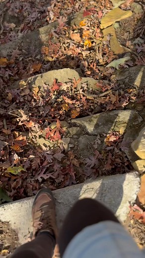 A walk down to our beautiful historic spring. I just love how the leaves crunch under my feet and float in the everflowing, life giving fresh water. 🍁 #fall #leaves | Springhouse Farm