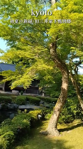 [京都]新緑一色、5月の旧三井家下鴨別邸#京都vlog#京都旅行 #京都観光#京都#kyoto#新緑#scenery#京都散歩#shorts
