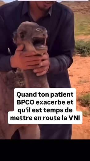 Raphaël & The Machines / Kiné Respi on Instagram: "🫁💨 La VNI : une alliée de taille face à la décompensation du patient BPCO Quand un patient BPCO entre en décompensation respiratoire hypercapnique, chaque minute compte⏱️ 📉 Le CO₂ s’accumule, la respiration s’essouffle… et c’est là que la Ventilation Non Invasive entre en jeu. ➡️La décompensation aiguë de BPCO a été l’une des indications « historiques » de la VNI établie à partir des études les plus nombreuses et des preuves les plus solides.