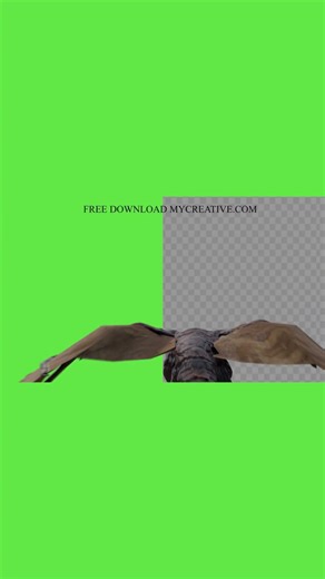 Dragon Flying Side Shots Green Screen Dragon Flight VFX