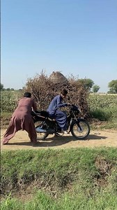 Amazing hunting egg for #huntingbirds #birdhunting #pigeonlaver #birds #bird #bowhunting #farming