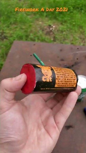 Cracker Bomb - Black Cat Fireworks #Shorts (Firework A Day 2021)