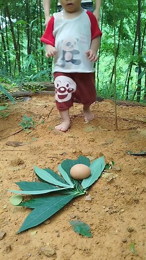 31M views · 316K reactions | 17 year old single mother uses eggs to fry eggs #camping #survival #viralvideo #bushcraft | Luong Yen Anh | Facebook