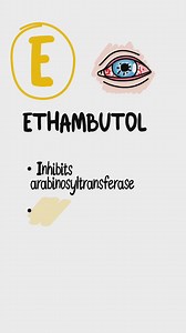 473K views · 7.9K reactions | CODE HAVIC @medschoolbro = Mystery Discount Active TB is treated with RIPE. 2 months of RIPE → 4 months of RI. Key toxicities to know for Step: • Rifampin → red-orange fluids, CYP450 induction • Isoniazid → neuropathy (give B6) • Pyrazinamide → gout • Ethambutol → optic neuropathy RIPE = easy TB points. #drhavicandbrody #medstudent #usmle #step1 #pharmacology #tuberculosis #highyield #medschool | Medschoolbro | Facebook